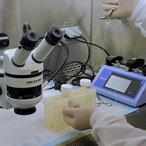 Video: Subconjunctival Administration of Adeno-associated Virus Vectors in Small Animal Models