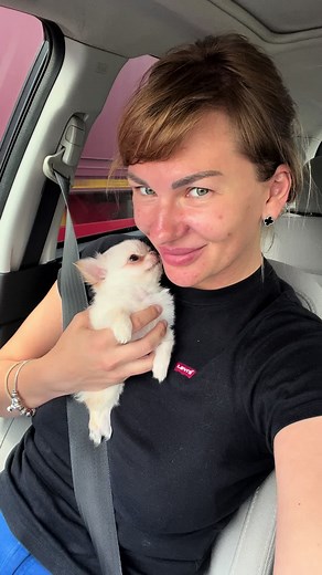 #teacuppuppies #chihuahuasworld #teacupchihuahua #chihuahuaitalia🇮🇹 #cucciolo #chihuahuainstagram #petsoftiktok #petsoftiktok #cucciolo #