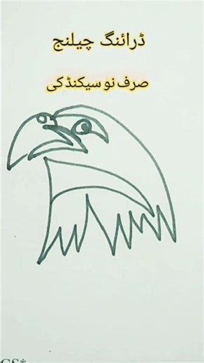 Eagle Line Art Drawing | Easy Drawing Challenge 2025
