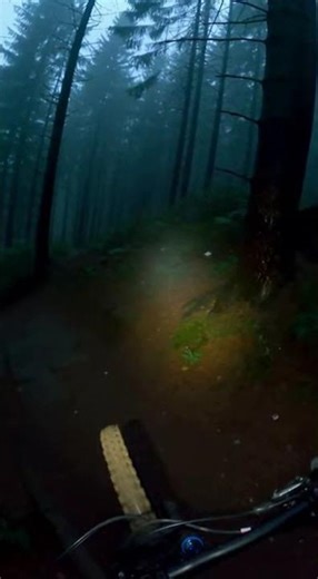Stranger Appears on Forest Trail! #Mystery #FPV #Thriller
