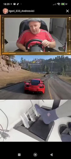 Racing Simulator Gameplay with Wheel Controller