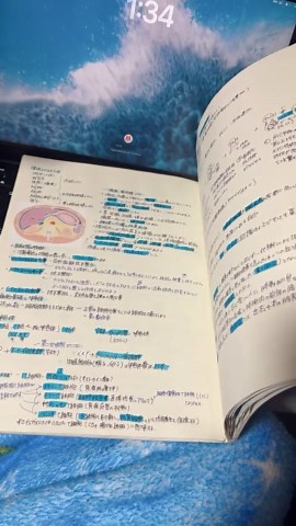 看護学生の解剖生理ノート作成法