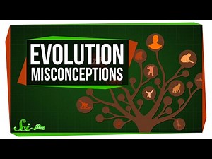 Nerdfighteria Wiki - Common Misconceptions About Evolution