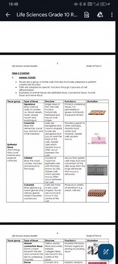 Grade 10 Life Sciences Curriculum Overview