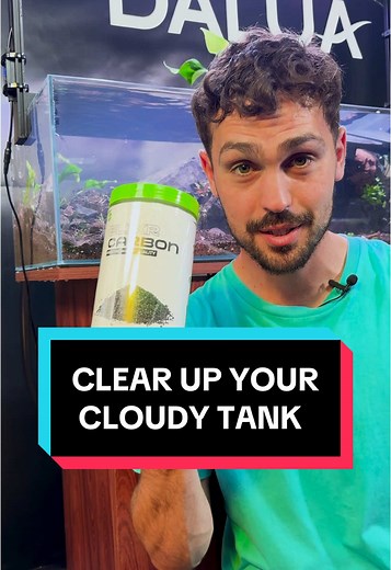 How to Achieve Crystal Clear Water in Your Aquarium