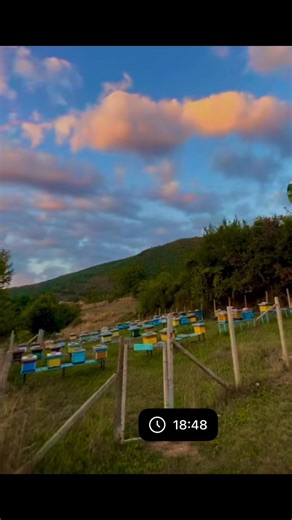 Përshëndetje nga Misllodezhda 😍😍😍 | Humor by Struga