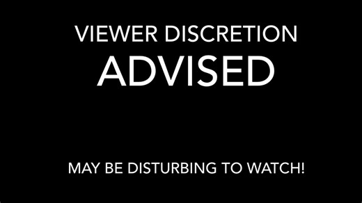 Viewer Discretion ADVISED!