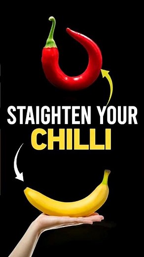 Penile Curvature : Surgical Correction methods