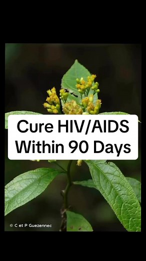 324K views · 6.5K reactions | Cure HIV In 90 Days | Uses Of Herbal Medicines | Facebook