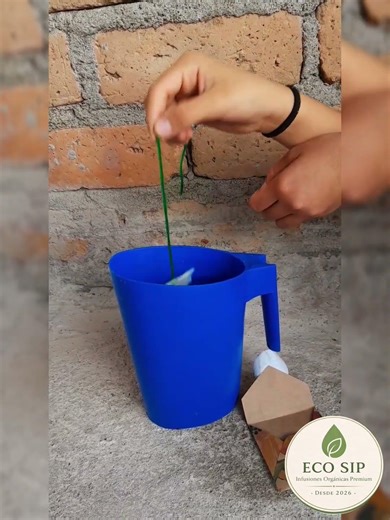 ¿Cómo utilizar infusión para Plantas?
