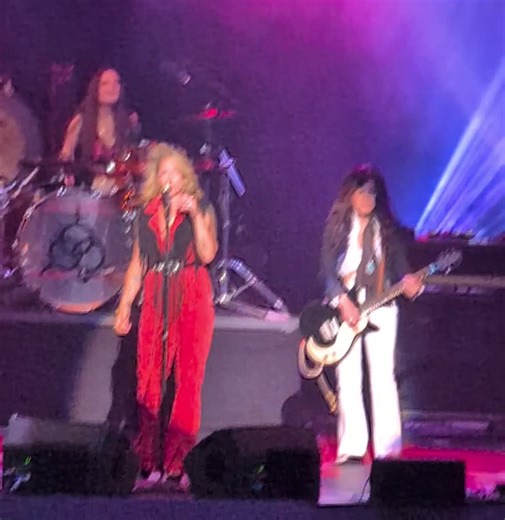 Lez Zeppelin Official Page on TikTok