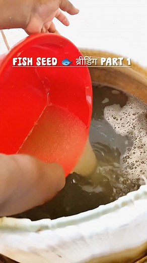 Fish Seed 🐟 ब्रीडिंग PART 1 FISH FARMING CREST 🚀 FISH FARMING CONSULTANCY 💼 UNITY INDIAN ⚡ FISH FARMING 🐟 #how_to_start_a_fish_farming #fishing_farm #fishlove #fishfarming #aquaculture #biofloc_tank_setup #carpfishing #foryou #fishfarmersofindia #viralreels #view #viralreels #instareels #shorts #Unity_Indian_Fish_Farming #business #trending #itendswithus #trend #travel #trendingreels #model #poultry #poultryfarming #positividade #pondculture #seafood #shortsfeed | Unity Indian Fish Farming