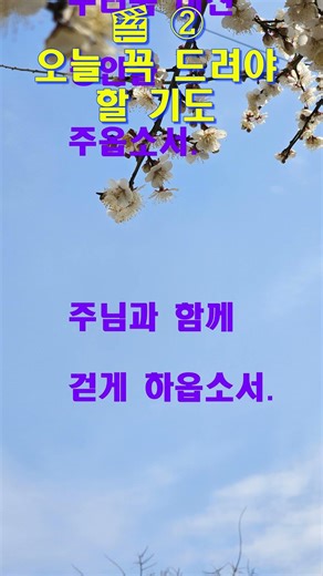 오늘 꼭 드려야 할 기도 (하루를 맡기는 기도)ㅣ사순절기도ㅣ회개의기도ㅣ대표기도문ㅣ수요예배기도ㅣ십자가묵상ㅣ기도문ㅣ은혜로운기도