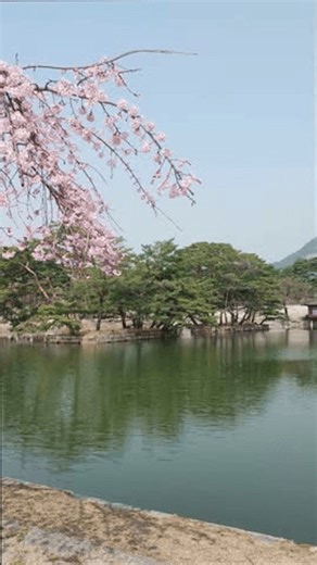 clip-4016523495-gyeongbokgung-gyeonghoeru-pavilion-spring-reflection---vertical