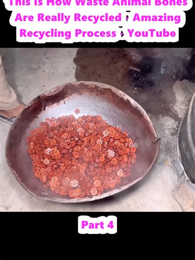 How Waste Animal Bones Are Recycled Effectively