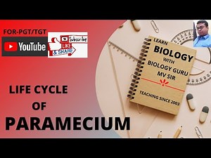 LIFE CYCLE OF PARAMECIUM/ MV SIR// .
