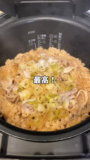 暇人クッキング【簡単レシピ】 on Instagram: "【簡単レシピ】豚肉とネギのスタミナ炊き込みご飯！ 【材料】 米 : 2合 焼肉のタレ : 大さじ4 水 : 2合目まで 豚肉 : 200グラム 長ネギ : 1本 炊飯GO！ #簡単レシピ #炊飯器レシピ #炊き込みご飯"