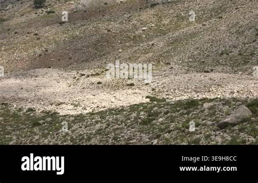 Treeless desert landscape spreads across barren plains and dry hills beneath harsh weather. Arid wasteland scenery reveals remote geology, open flatlands, empty natural scale. steppe, mountains, terrain, rain clouds Stock Video Footage - Alamy