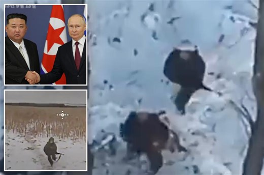 Russian paramilitary soldiers killed in friendly fire attack by North Koreans after enlisting DPRK help