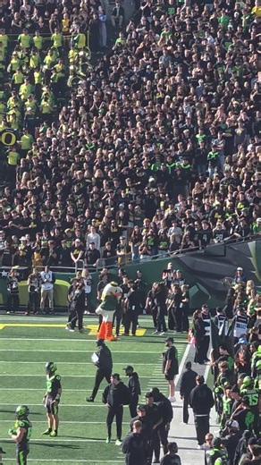 Oregon Ducks Football Highlights and Fan Moments
