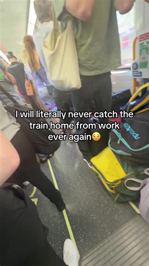 50c but at what cost??😭😭 literally standing for a 45 mins bumpy train ride with bodies all around, some even having the audacity to lift their sweaty armpit 🥹🫩 #fyp #train #50c #brisbane