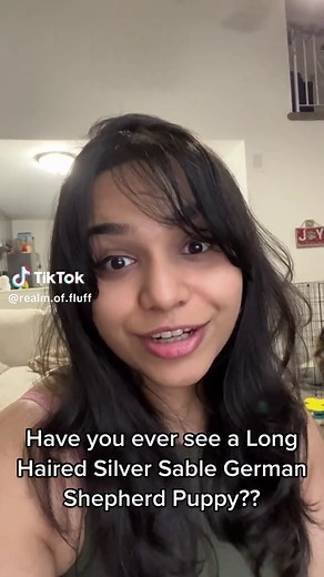 Realm of Fluff on TikTok