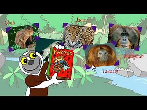 PC Longplay - Zoboomafoo Going to the Closet Part 3