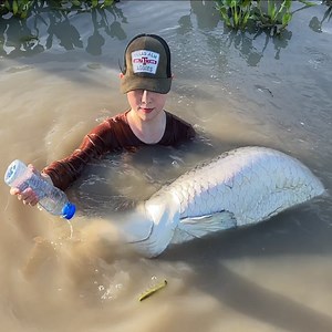 73K views · 1.9K reactions | The best fish trap with giant mantis shrimp catch 60kg dragonfish! | Survival with Emma | Facebook