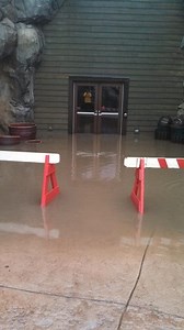 More Like Brookfield Aquarium: Zoo Floods, Closes (Photos)