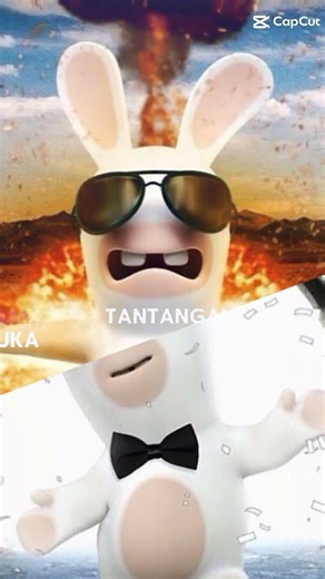 JJ rabbid invasion#capcut