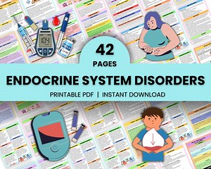 Endocrine System Bundle42page | Nursing Study Guide | Endocrine Med Surg | Endocrine Note | Instant Download | PDF File | Endocrine Disorder - Etsy