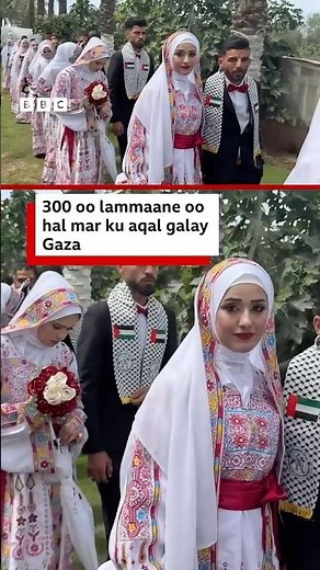 300 oo lammaane oo hal mar ku aqal galay Gaza | BBC Somali
