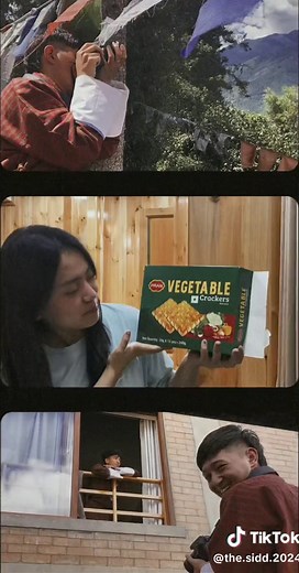 Designasaurus on TikTok