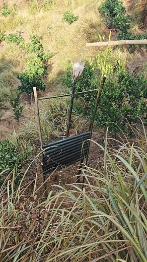 231K views · 447 reactions | Rural wisdom how hydraulic bird repellers work #eco #garden #tips | DB Racing Team | Facebook