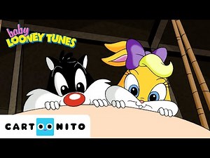 From Stage Fright to Superstar 🎬| Baby Looney Tunes | Cartoonito