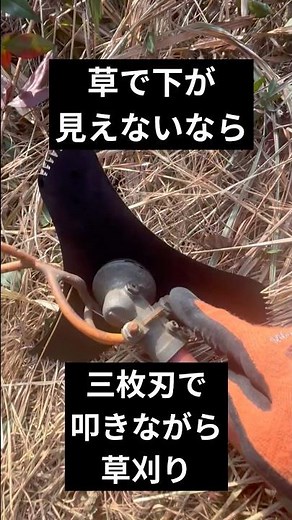 三枚刃で叩きながら草刈りする方法とは！