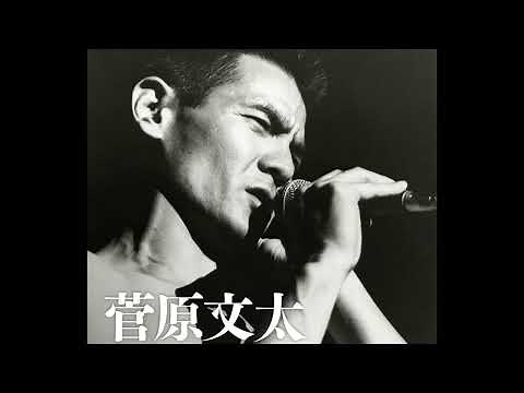 夜霧のブルース 菅原文太 歌詞付き