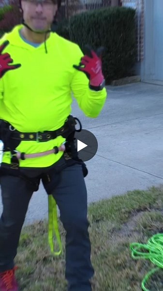 #franchiseleadership #arboriculture #brandstandards #fieldleadership #joshuatreeexperts | Joshua Tree Experts