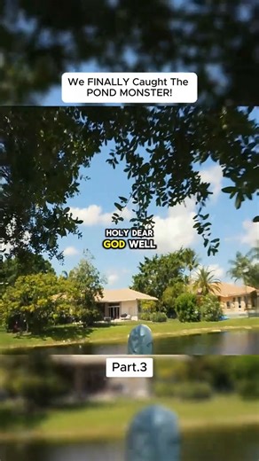 Mark Marshall on Reels