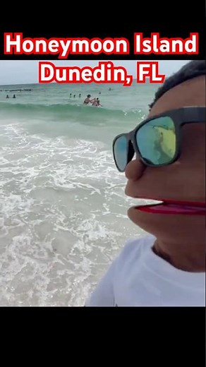 Honeymoon Island Dunedin Florida Walking Tour | Best Florida Beach for all Ages