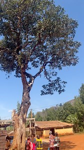 👌👌🏼🙌a zemla♥️🔥😊 | Lucas Chiago