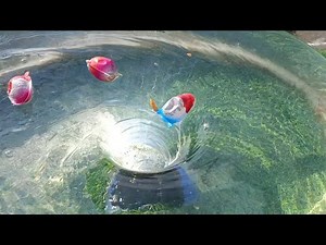 8 minutes satisfying water vortex spinning Relaxing video ASMR. WHIRLPOOL. VORTEX. WHIRLPOOL VORTEX.