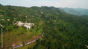 Morning bathes Ceylon mountain tea plantations as train winds through rich greenery, connecting travelers to beauty of Sri Lanka landscapes. Early risers experience unique patterns via drone.