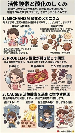 【10年後が変わる】老化を止める「抗酸化」の教科書｜血管・肌・DNAを守るための生活習慣とは？