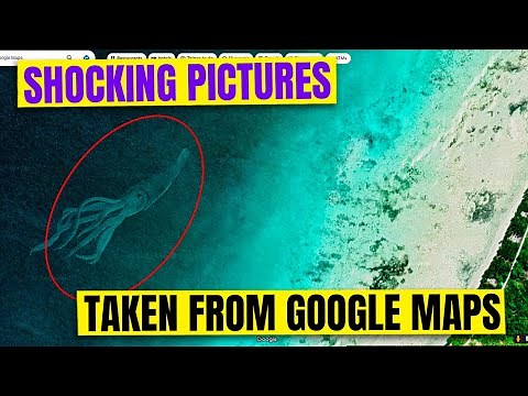 10 Intriguing Sea Creatures Discovered on Google Earth