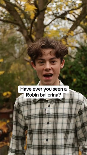 Have you ever seen a ballerina Robin? 🤩 #wildlifephotography #wildlife #robin #nature #naturelovers | Shelby Grant