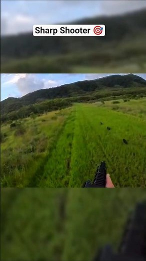 Hunting Compilation. #BoarHunting#WildHog#USAHunting
