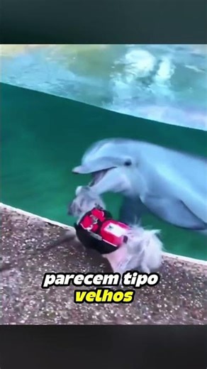 Amizade mais Pura entre animais que você verá hoje 🐶❤️🐟
