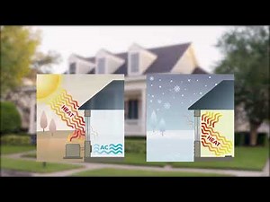 Energy Efficient Windows from Renewal by Andersen