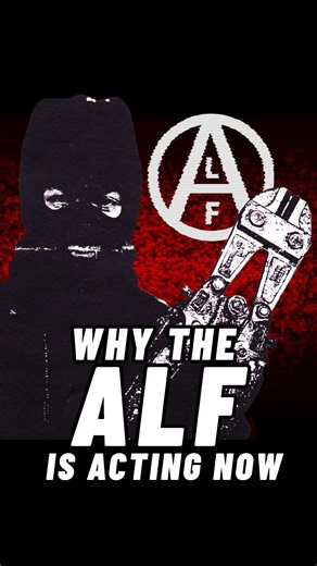 One does not join the Animal Liberation Front, one becomes the Animal Liberation Front. Peter Young and Dr. Jerry Vlasak discuss why the ALF is acting now, specifically targeting the fur industry. Animals on fur farms are days away from November pelting season. They will endure gassing, bludgeoning, electrocution, and some will even be skinned alive unless someone frees them. Will the ALF strike again? #alf #animalliberationfront #animalactivism #animalprotection #animalliberation #mink #minks #